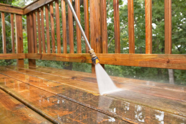 Trusted Camden, TN Pressure Washing Services Experts